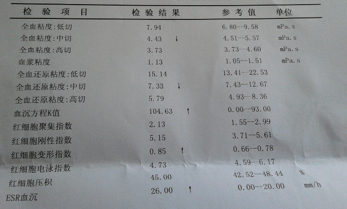 盲试特一个月后的报告