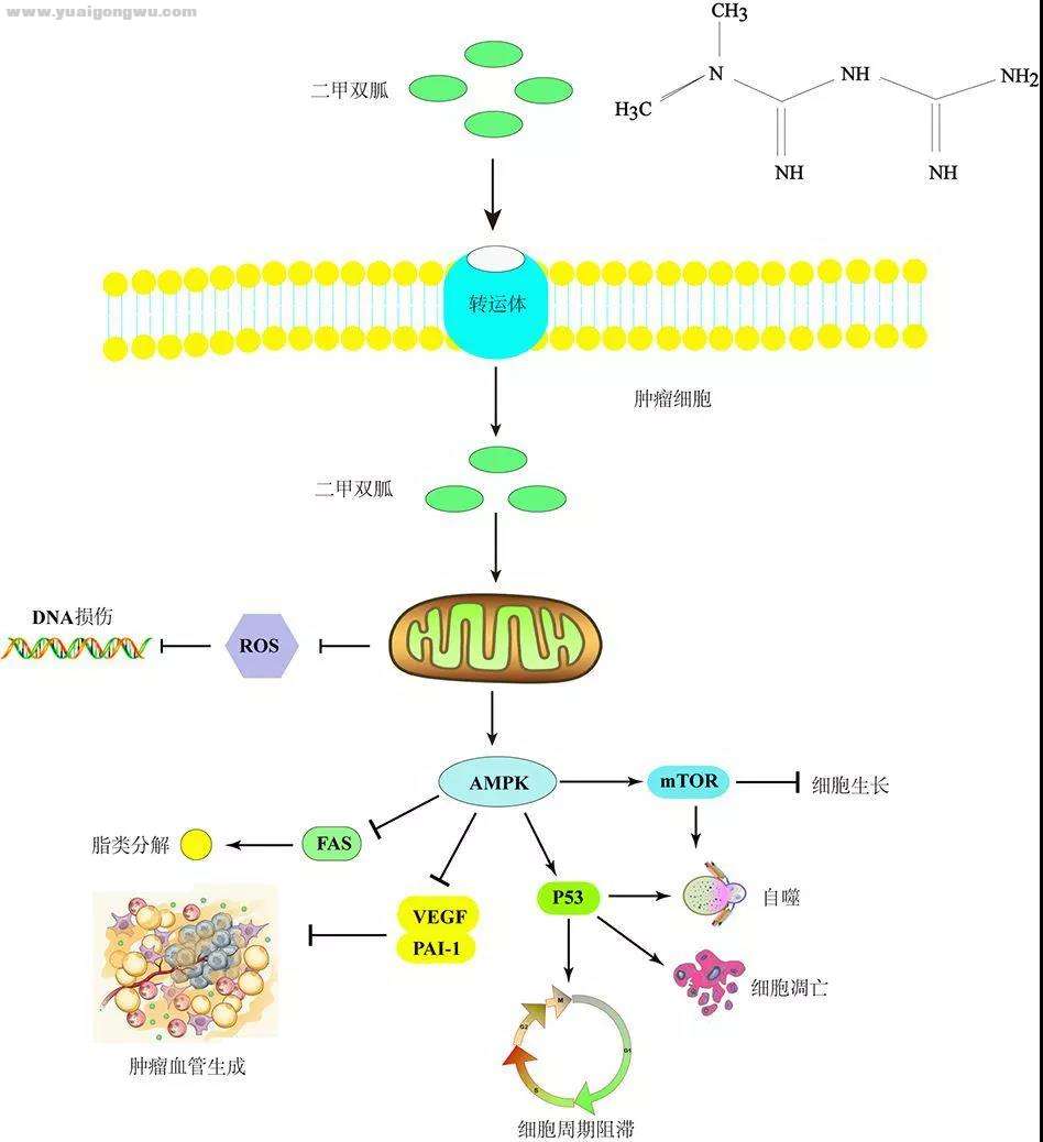 微信图片_20200922173638.jpg